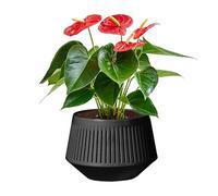 Pots à orchidée à répétition, design ventilé à deux niveaux avec équilibre de l'humidité. Idéal pour les jardins d' pour la mousse de sphaigne, les d'intérieur, les présentoirs