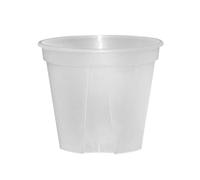 Pots à orchidées en plastique transparent avec trous - Pot de fleurs transparent pour plantes grasses - Bassin respirant - Racine de montagne verte