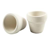 Pots de fleurs