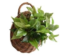 Pots De Fleurs À Suspendre En Rotin, Panier De Rangement Rond Tissé À La Main, Décoration Murale Suspendue Faite À La Main, Conteneur De Rangement En Osier Pour Intérieure Ou Extérieure