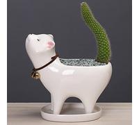 Pots de fleurs en céramique en forme de chat, pots de fleurs succulentes en forme d'animal mignon, petit pot de fleurs créatif décoratif pour bureau, décoration de jardin, blanc