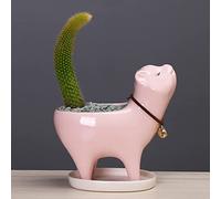 Pots de fleurs en céramique en forme de chat, pots de fleurs succulentes en forme d'animal mignon, petit pot de fleurs créatif décoratif pour bureau, décoration de jardin, rose