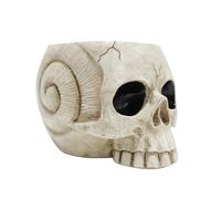 Pots de fleurs en forme de tête de mort pour plantes grasses Pots de fleurs en résine Crâne Pot de fleurs Squelette Pot de fleurs Support de présentation pour Halloween