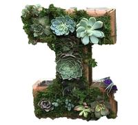 Pots de fleurs en plastique - Lettres murales décoratives en bois avec monogramme - Lettres avec bryophytes artificiels verticaux - Pot de jardin artificiel - Art mural 2025 (I, taille unique)