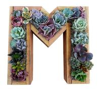 Pots de fleurs en plastique - Lettres murales décoratives en bois avec monogramme - Lettres avec bryophytes artificiels verticaux - Décoration murale 2025 (M, taille unique)