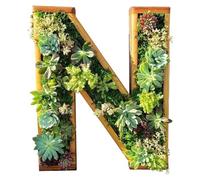 Pots de fleurs en plastique - Lettres murales décoratives en bois avec monogramme - Lettres avec bryophytes artificiels verticaux - Pot de jardin artificiel - Art mural 2025 (N, taille unique)