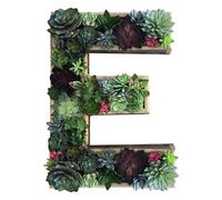 Pots de fleurs en plastique - Lettres murales décoratives en bois - Monogramme avec bryophytes artificiels - Pots de jardin artificiels verticaux - Art mural 2025 (E, taille unique)