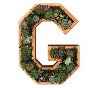 Pots de fleurs en plastique - Lettres murales décoratives en bois - Monogramme avec bryophytes artificiels - Pots de jardin artificiels verticaux - Art mural 2025 (G, taille unique)