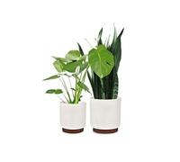 Enspijk pots de fleurs lot de 2 bois de noyer polystone fait à la main 2 tailles