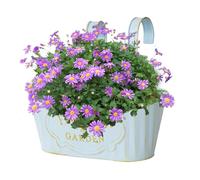 Pots de fleurs suspendus en fer | Pot de suspension ovale en détresse noire | Jardinières de balcon pour la balustrade avec crochet détachable | Boîtes à fleurs de fenêtre de campagne pour jardin, po