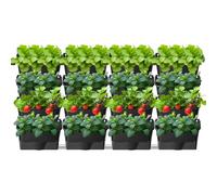 Pots de fleurs suspendus, pot mural auto-arrosant, pour jardin vertical, mur pour plantes d'extérieur, avec 16 pots, sac à plantes mural pour jardin, terrasse (16 unités, noir)