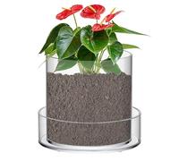 Pots De Pépinière Transparents Avec Drainage - Conteneurs de Culture Clairs Pour | Conteneurs Et Godets Acryliques Plateau Pour Soucoupes Pour Culture De Fleurs Jardin D'Intérieur Et Démarrage
