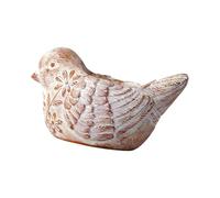 Pots de plantes grasses avec drainage, pigeons