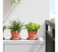 vidaXL Pots de plantes 24 pcs Noir Ø 19 x 16 cm Plastique