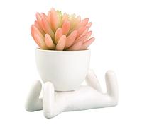 Pots de Plantes Succulentes en Céramique Blanche, Forme D'humain Créatif - Petit Pot de Fleurs