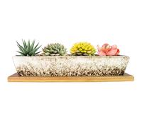 Pots de Plantes succulentes rectangulaires en céramique de 9,8 Pouces de Long avec Drainage, Petit Pot de Cactus à Fleurs avec Plateau Bonsai Plant Window Box pour intérieur/extérieur