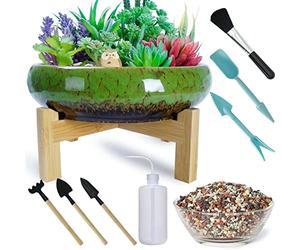 Pots en céramique pour Plantes succulentes, Grands Pots Peu Profonds pour bonsaïs, avec Support, Outils pour Plantes succulentes et mélange de Cailloux de 2,2 Livres
