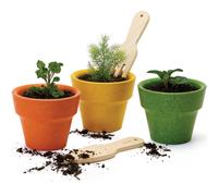 Pots et accessoires du potager en bois