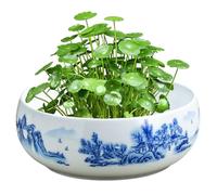 Pots succulents en céramique, peinture de paysage chinois de 20 cm, planter peu profonde, bol à thé lavé chinois, pot glacé rond, pot de bonsaï peu profond pour décorations de jardin intérieures