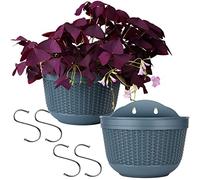 Pots Suspendus Plantes Panier de Jardinière Suspendu 2 Pièces Jardinières en Mural Pots Jardinières Suspendues avec 4 Crochets Décoration pour Porche Clôture Maison Jardin
