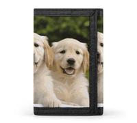 POTSCBVW Golden Retriever Puppies Portefeuille compact à trois volets avec porte-clés léger et durable pour l'extérieur, style, taille unique, classique