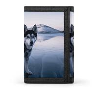 POTSCBVW Portefeuille compact à trois volets avec porte-clés Husky Dog on A Frozen Lake - Léger et durable - Style - Taille unique - Classique