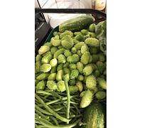 Potseed 25 Semi Achocha â € ~Fat babyâ € ™ sudamericano Cetriolo