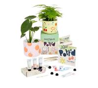 Pott’d Paintables Kit Peindre un Pot de Fleur - Kit De Loisirs Créatifs Pour Adultes Avec Pots De Fleurs, Peintures Acryliques, Pinceaux, Crayon Et Guide, Décoration D’intérieur