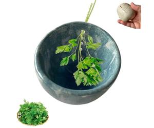 Pottery Herb Stripper Bowl,pottery Herb Stripper,bol À Éplucher Les Herbes,Ceramic Herb Stripping Tool with 4 Trous,Herb Stripper Tasse Feuille,Outils De Décapage De Légumes Feuille Multifonctionnelle