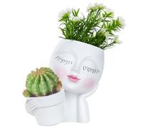Pottes succulentes Resin Pots de fleurs pour plantes intérieures avec trou de drainage Double Double Flower Pots dans un visage Planteur Plavier Planteur Succulent Planteur Blanc, Pots de fleurs pour