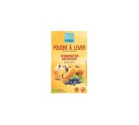 Poudre à lever vegan et sans gluten - 3x21g