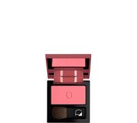 Diego Dalla Palma Blush Poudre Cold Pink N°23