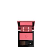 Poudre Compacte - Blush N.22 - Diego Dalla Palma