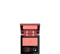 Poudre Compacte - Blush N.25 - Diego Dalla Palma