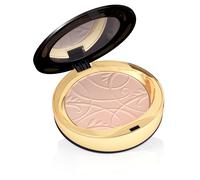 Eveline Cosmetics Celebrities Beauty poudre compacte minérale teinte 22 Natural 9 g