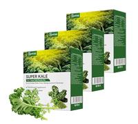 Poudre de Chou À Plumes - 20 Sachets Individuels, 60 g Au Total, Superaliment Vert Biologique pour Shakes et Cuisine(3pack)