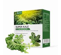 Poudre de Chou À Plumes - 20 Sachets Individuels, 60 g Au Total, Superaliment Vert Biologique pour Shakes et Cuisine(1pack)