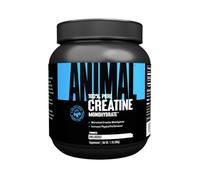 Poudre de créatine 500g Sans saveur Universal Nutrition Creatine