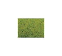 Poudre De Flocage Vert Moyen 20 G Noch-Noch