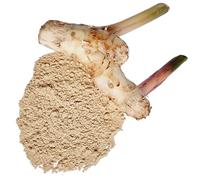 Poudre de galanga, fabriquée à partir de 100% d'Alpinia galanga - Grand galanga pur et naturel, lengkuas et gingembre bleu - Poids net : 50g