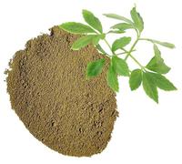 Poudre de Jiaogulan, fabriquée à partir de 100% de Gynostemma Pentaphyllum - Vigne de thé sucrée pure, Jiaokulan naturel - Poids net : 50g