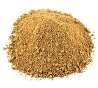 Poudre de racine d'angélique - Grade A - Qualité supérieure - 100 g