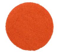Poudre de tomate 250 g - LA PLANTIGO