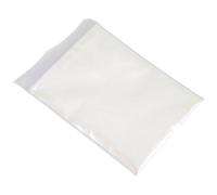 Poudre Pigmentée Caméléon Blanche 10g pour Résine Époxy et Bombes | Effet Perlé Brillant, Qualité Cosmétique Sûre Peau, Poudre de Nacre pour Créations DIY