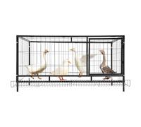 Poulailler avec collecte automatique des œufs, 120 x 58 x 62 cm, en fer, moderne, pour l'intérieur et l'extérieur, pour 9 à 10 poules