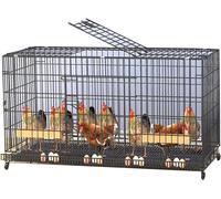 Poulailler avec rouleaux de nid d'herbe - Cage à volaille extérieure, abri intérieur pour 3 à 15 poulets - Parfait pour votre troupeau