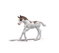 Poulain à collectionner Dipper