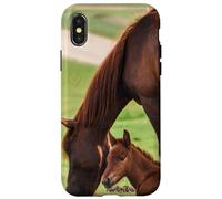 poulain Jeune Cheval Alezan | beau Coeur D'Amour Doré Mignon Coque pour iPhone X/XS