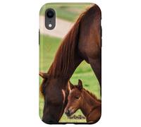poulain Jeune Cheval Alezan | beau Coeur D'Amour Doré Mignon Coque pour iPhone XR