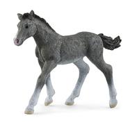 Poulain Trakehnen
